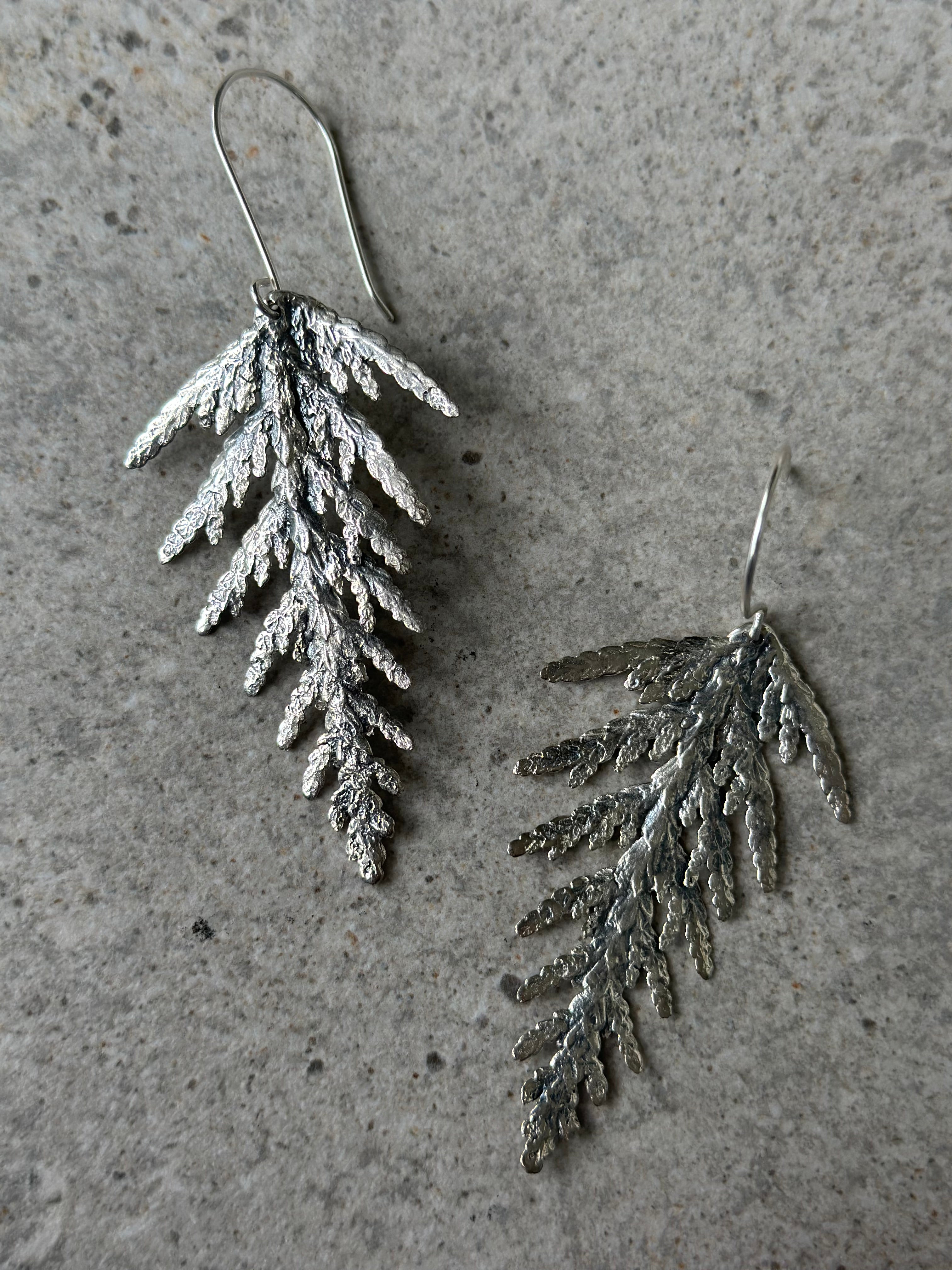 Oversize Cedar Earrings