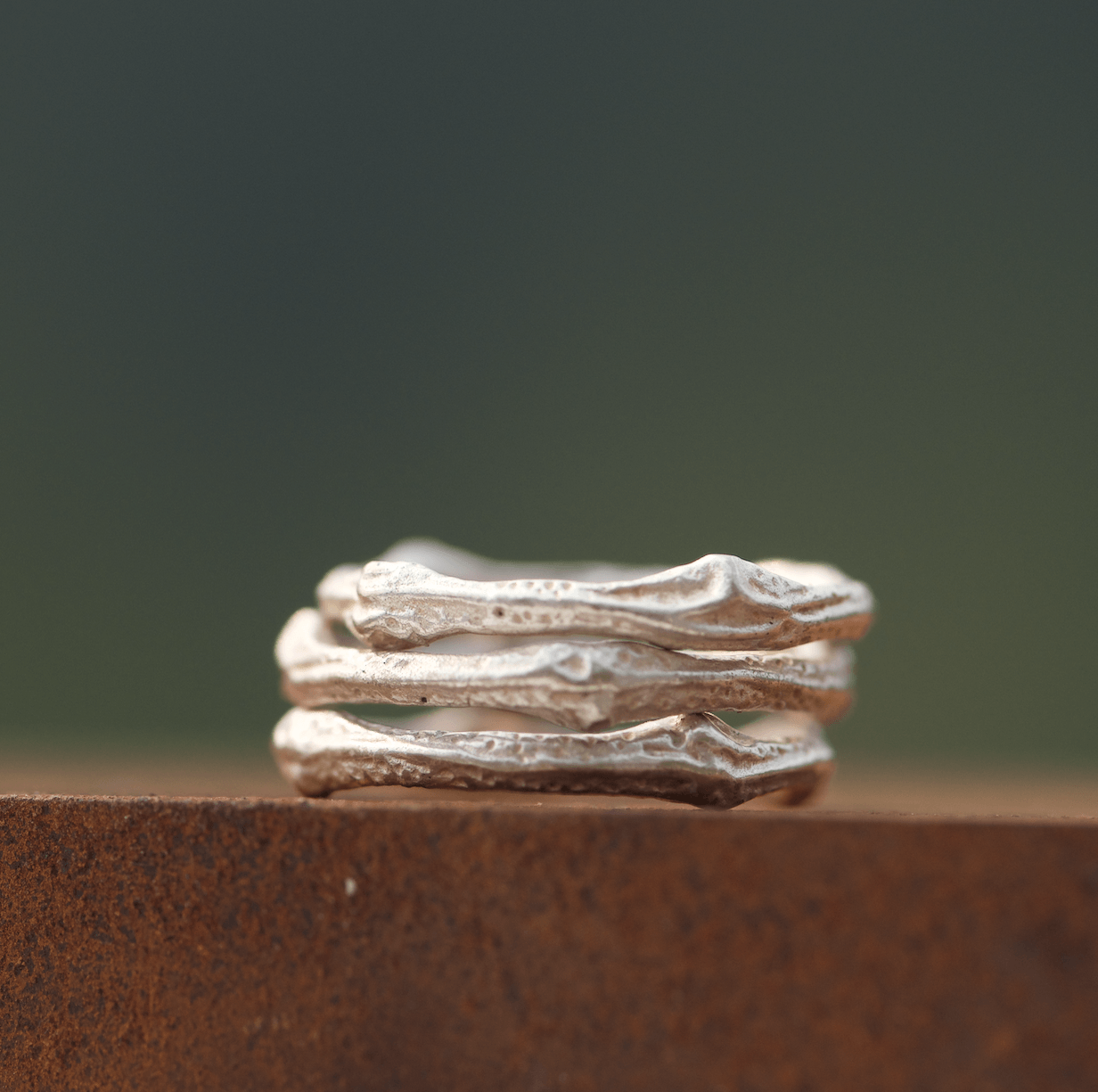Bague Brindille Argent