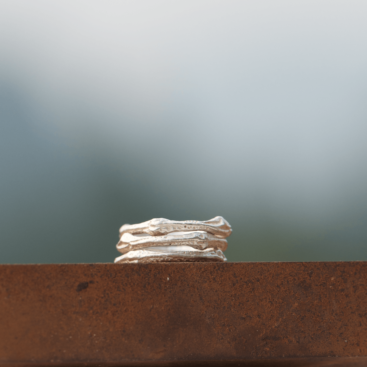 Bague Brindille Argent