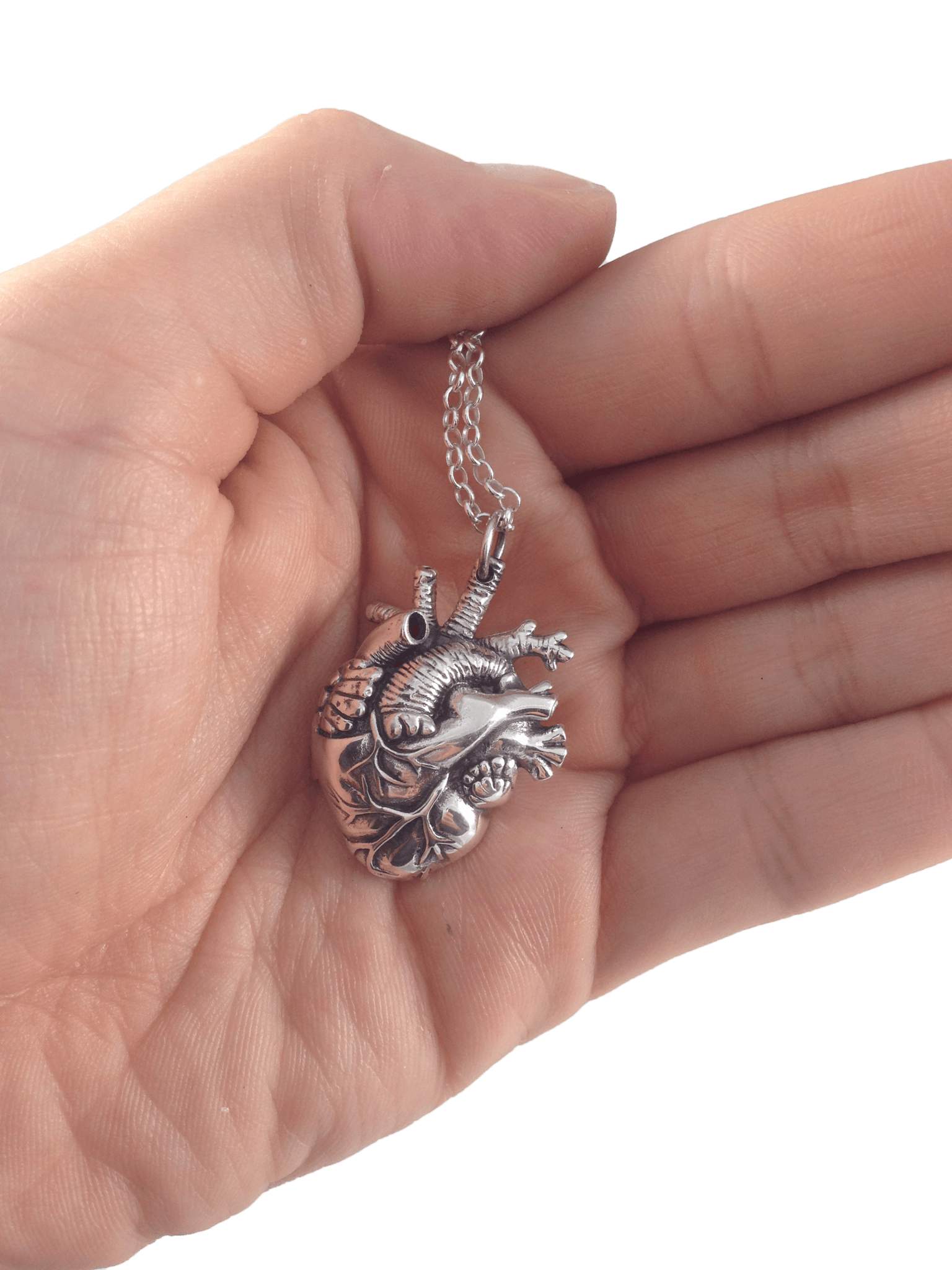 Buy Silver Anatomical Human Heart Locket - Cheap Handmade Jewelry